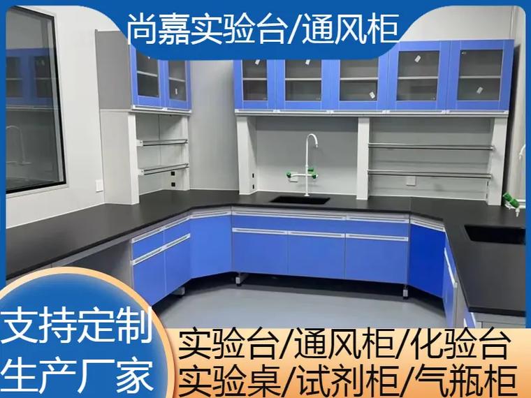 台/通风柜/气瓶柜生产厂家 粉丝 40 获赞 277 关注 实验桌价格,药品柜